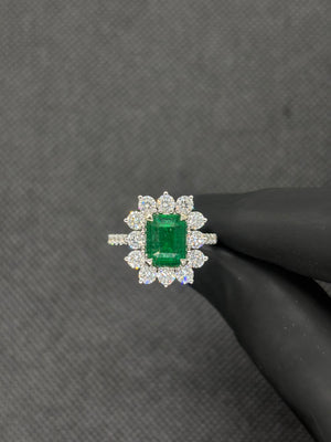 Descriptive image text