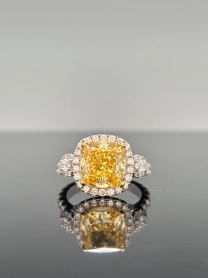 Descriptive image text