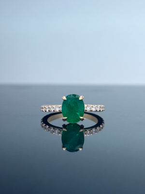 Descriptive image text