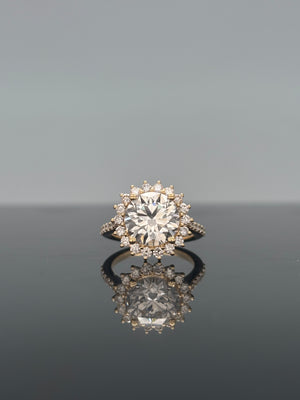 Descriptive image text