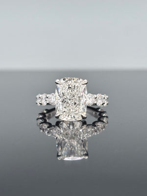 Descriptive image text